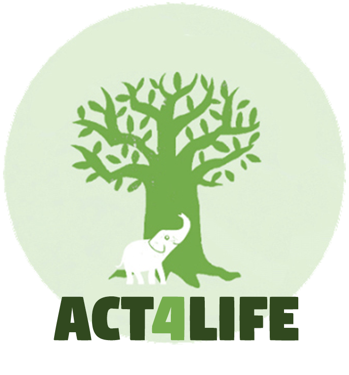 ACT4life basistraining – leer Acceptance & Commitment Therapy (ACT) toepassen op basis van eenvoudige procesdiagnostiek